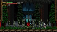 Immagine Citadale (Wii U)
