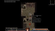 Immagine Dungeons of Dredmor (PC)
