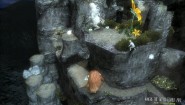 Immagine Nel Paese Delle Creature Selvagge (Wii)
