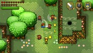 Immagine Immagine Blossom Tales: The Sleeping King PC