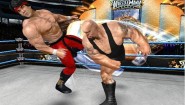 Immagine WWE All Stars (PSP)