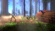 Immagine Immagine Cold Iron PS4