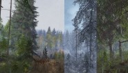 Immagine Life is Feudal: Your Own (PC)