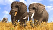 Immagine Wildlife Park 3 (PC)