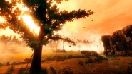 Immagine Rise of Insanity (PC)