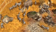 Immagine Wildlife Park 3 (PC)