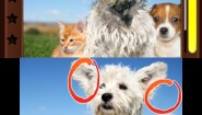 Immagine Spot the Differences! (3DS)