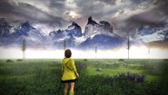 Immagine Immagine Distortions PC