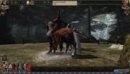 Immagine Disciples III: Renaissance (PC)