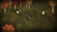 Immagine Immagine Don't Starve Together PC