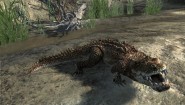 Immagine Cabela's Dangerous Hunts 2011 (PS3)