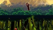 Immagine Immagine Maestro: Green Grove DS