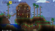 Immagine Terraria Wii U