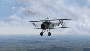 Immagine Rise of Flight, (PC)